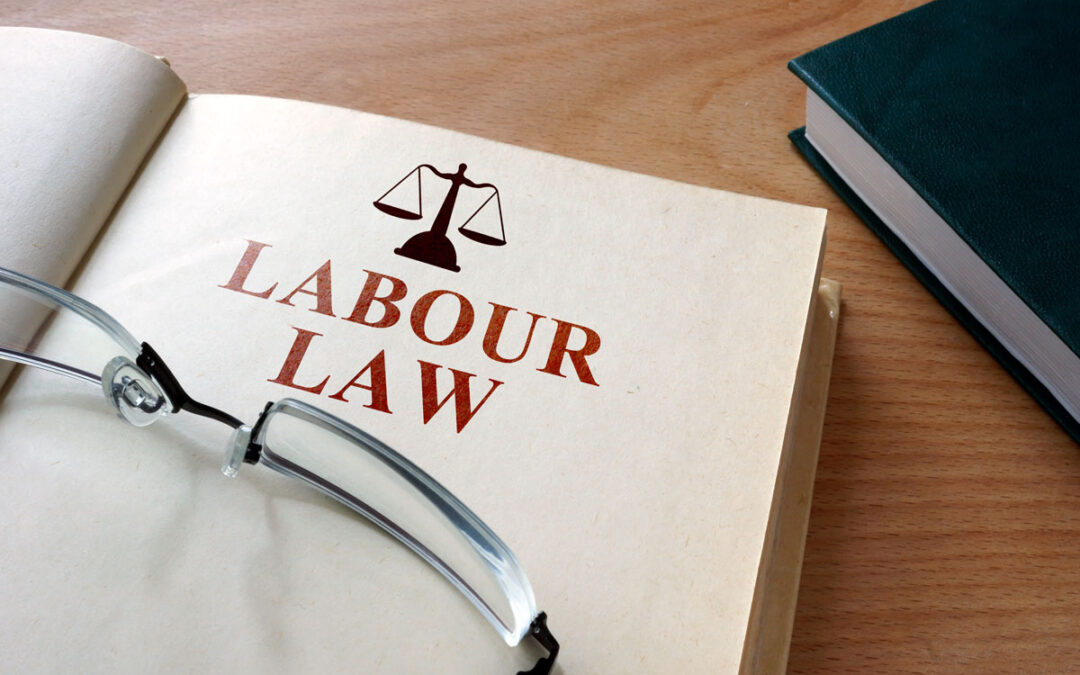 The Evolving Landscape of Labour Law in South Africa